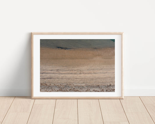 Kohi XV Print