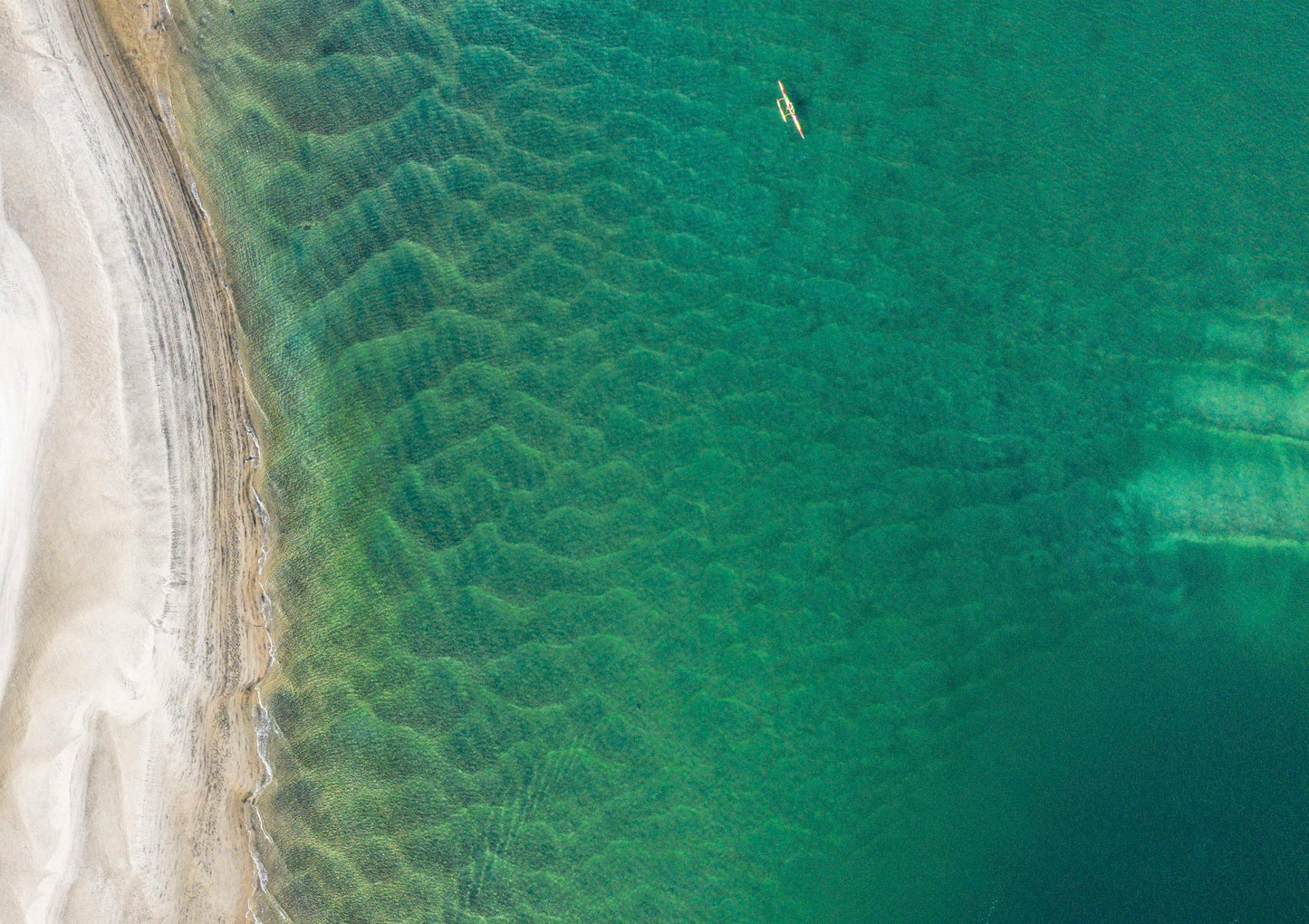 Mangawhai Rower