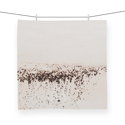 Maitai Bay VI Seaweed Organic Napkin Set of Two